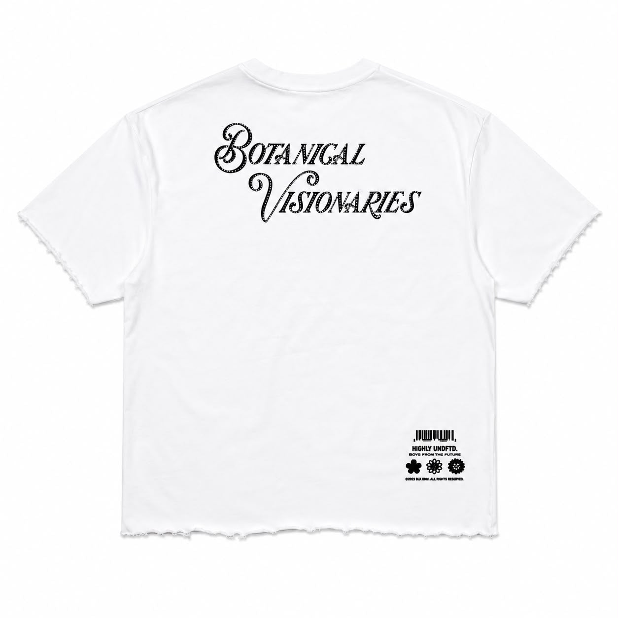 "Thru The Smoke" Cropped  Over Size Heavy Weight Street Wear Tee W/ Rhinestone